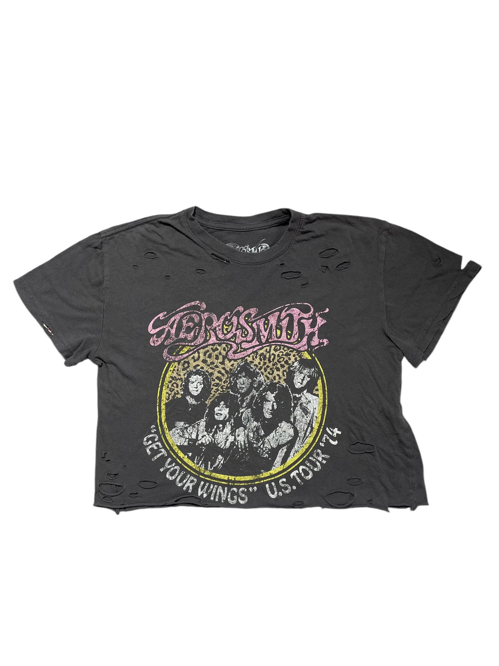 Aerosmith Cropped Tee