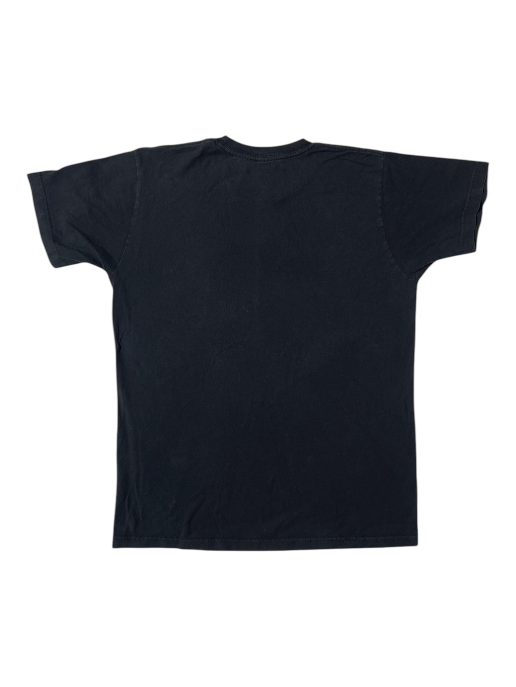 PVRIS Flowers Tee