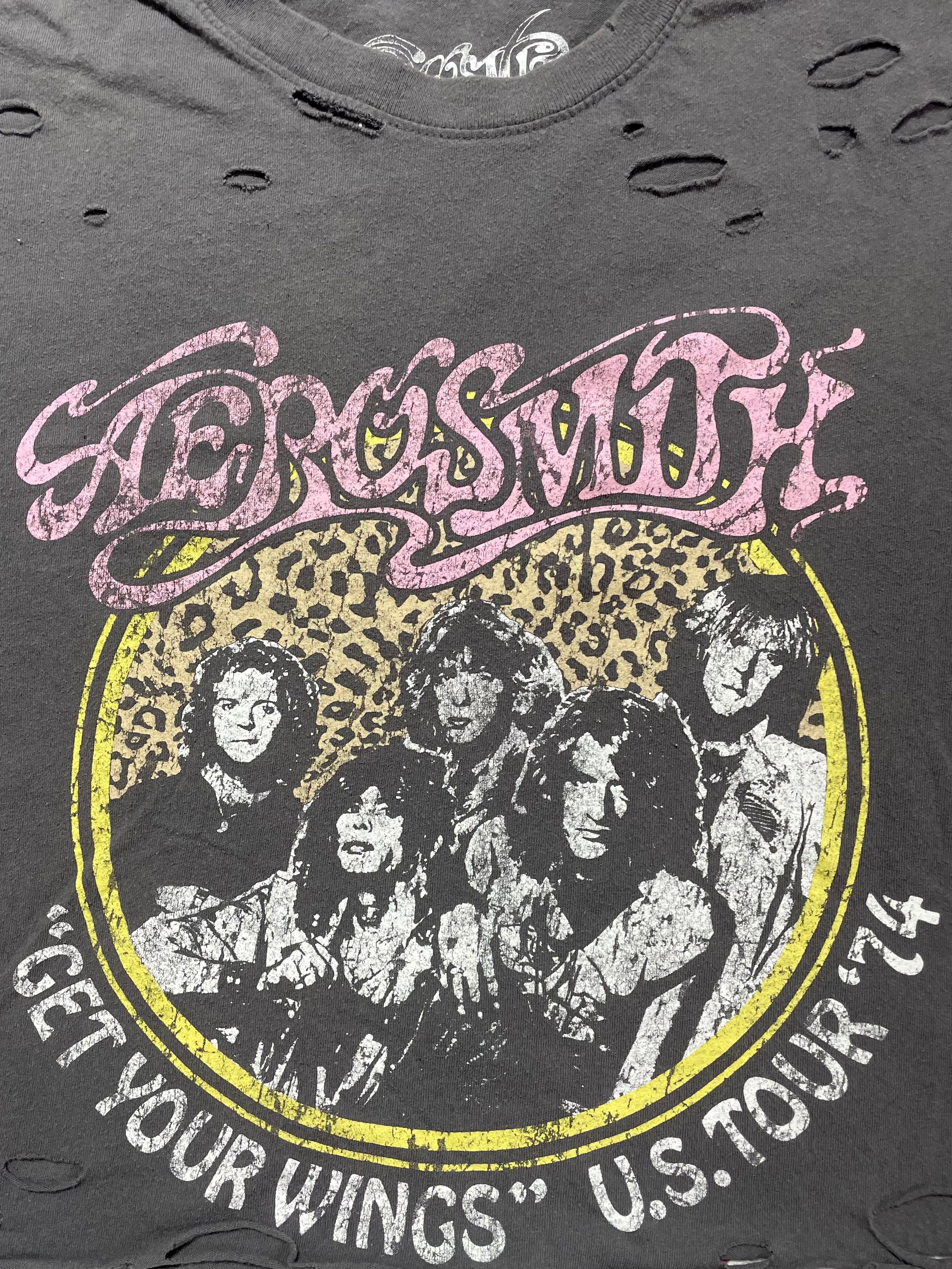 Aerosmith Cropped Tee