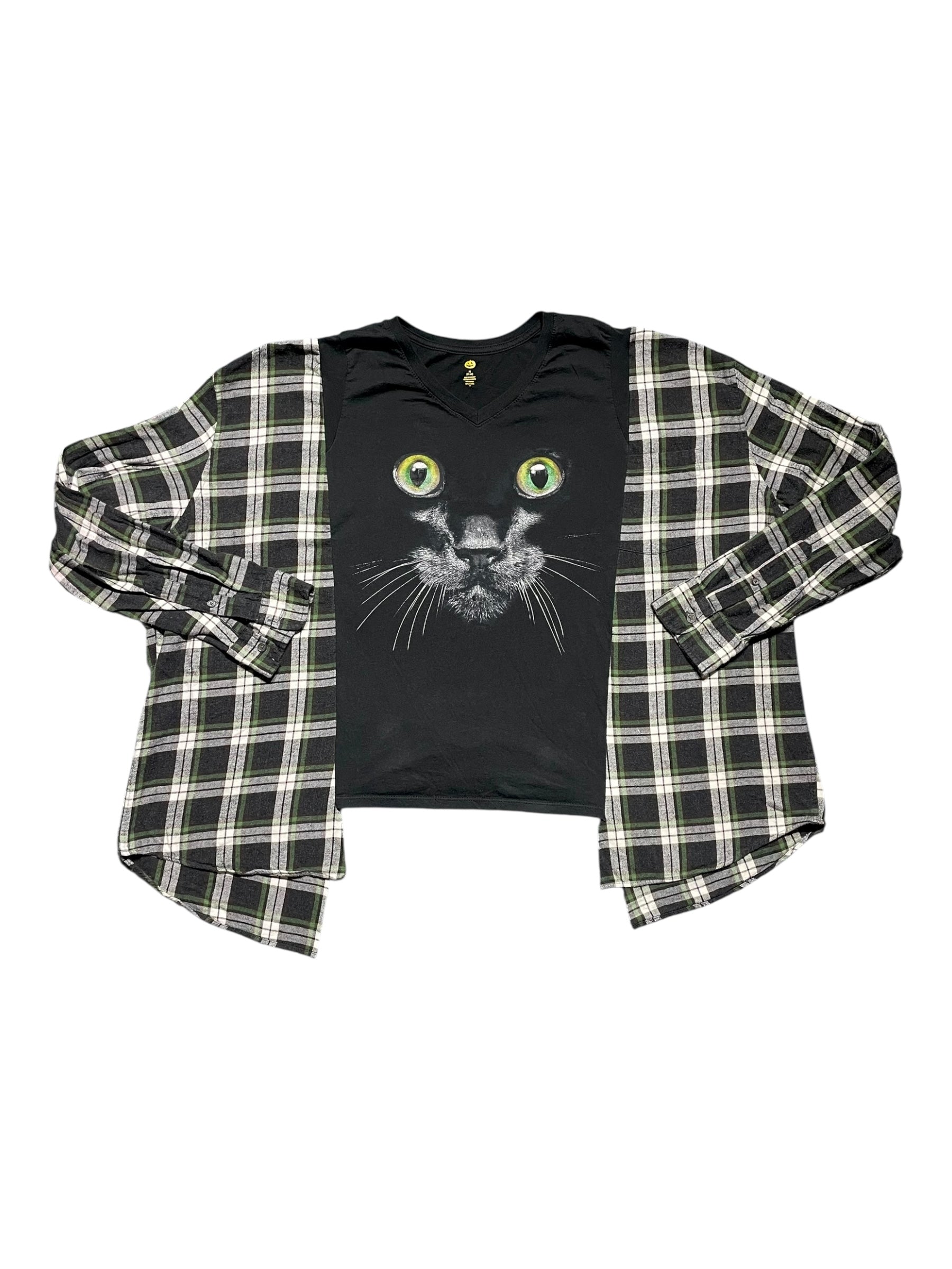 Black Cat Flirt